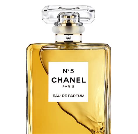 chanel no 5 sears|Chanel no 5 to bed.